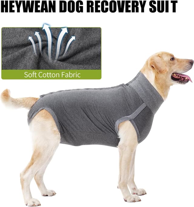 Detalle de HEYWEAN Tuta post-operatoria per cani Cane: body chirurgico per maschi e femmine