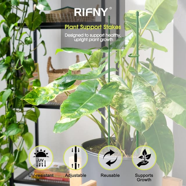 Detalle de RIFNY Plant Supports 30cm for indoor use