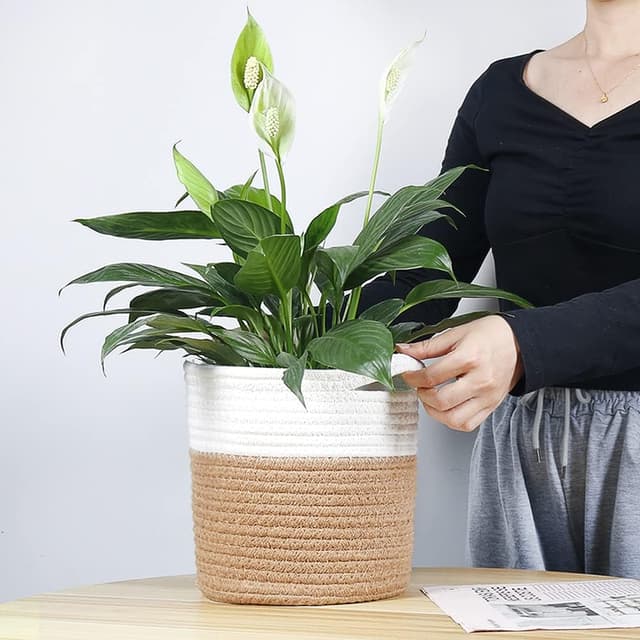 Thumbnail 6 de Tenn Well Blumentopf mit Einsatz aus Baumwolle (20 cm x 20 cm) – Pflanzkorb für Zimmerpflanzen & Deko