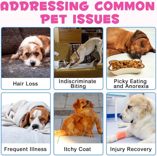 Thumbnail 4 de Frovetani Collagène liquide pour chiens