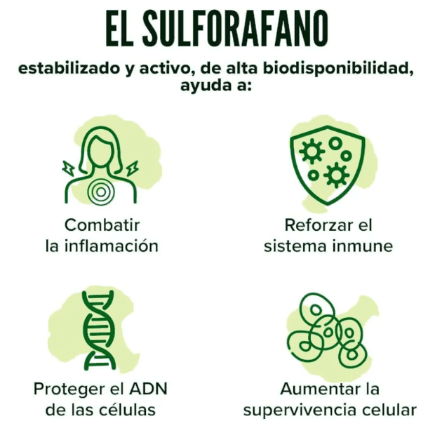 Detalle de HSN Sulforafano de Brócoli 60 cápsulas