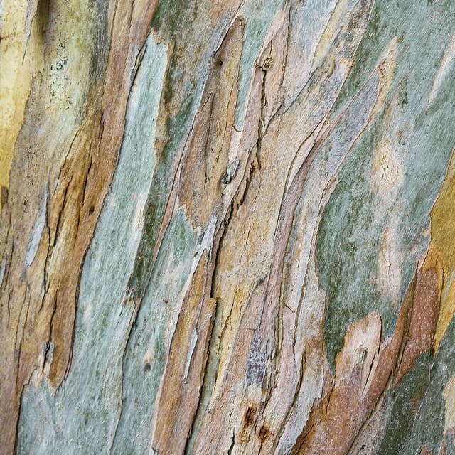 Imagen de Rasch Bark Fotomural en OfertitasTOP