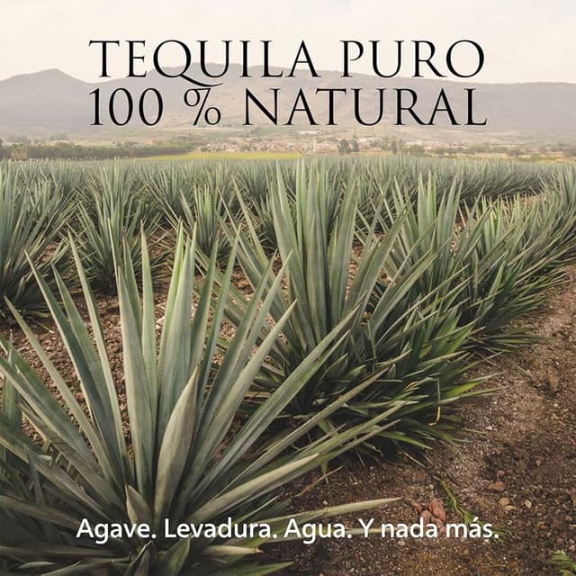 Thumbnail 6 de PATRÓN Silver Tequila 70 cl, 40 % vol.