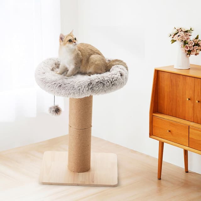 Thumbnail 6 de FUKUMARU Cat Scratching Post with Bed 53 cm 🐾