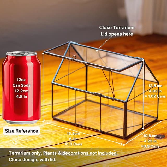 Detalle de NCYP mini glass terrarium, 15.5 cm