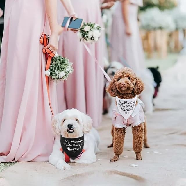 Thumbnail 4 de SZEE Dog Wedding Bandanas 2 Pack