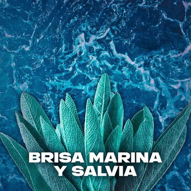 Thumbnail 5 de Axe Bodyspray Marine 150 ml — Pack 6