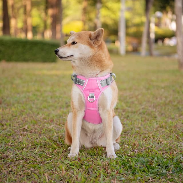 Thumbnail 6 de PHOEPET No Pull Escape Proof Adjustable Dog Harness with Reflective Straps and Easy Control Handle (Baby Pink/Grey, M)