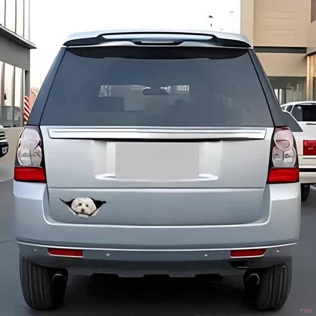 Detalle 1 de TIZIKJ Malteser Autoaufkleber 22 cm