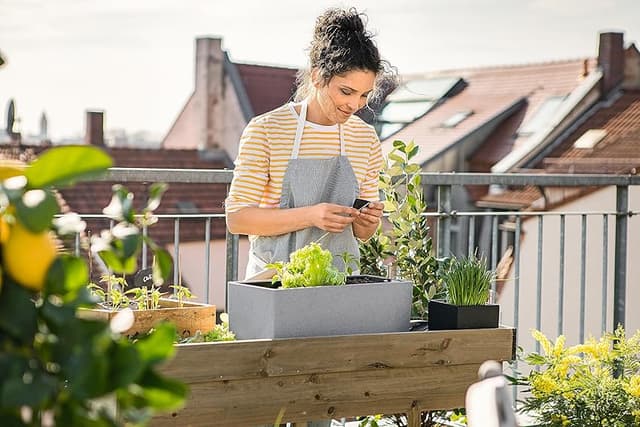 Thumbnail 5 de LECHUZA Balconera Stone 50 – Maceta de Resina Grey