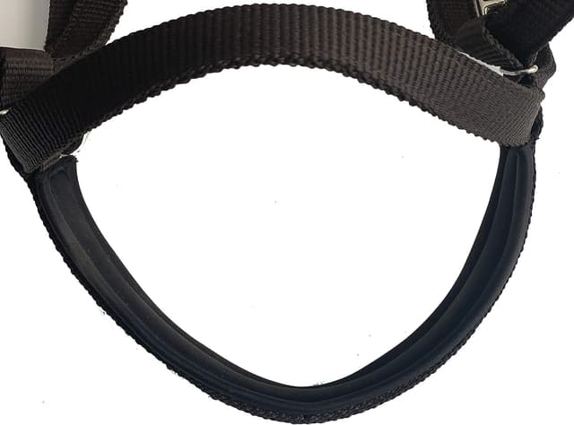 Thumbnail 5 de Majestic Ally Nylon Padded Browband Headstall Full