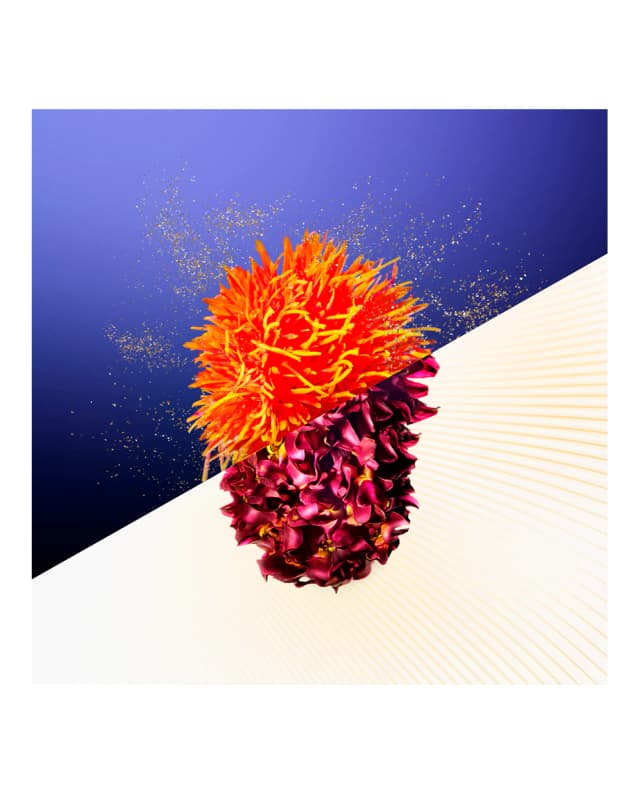 Thumbnail 3 de Shiseido Concentrated Supreme Anti-Aging Cream 50 ml