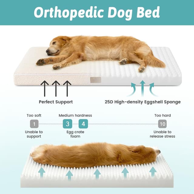 Detalle 2 de COZY KISS Orthopädisches Hundebett für große Hunde (Größe L, 91 x 68 x 7,6 cm) – abnehmbarer Bezug, waschbar