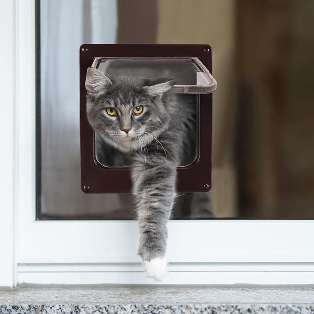 Detalle 2 de Porta per gatti e cani con schermo Porta scorrevole controllabile M-19×22×5,5 cm, marrone