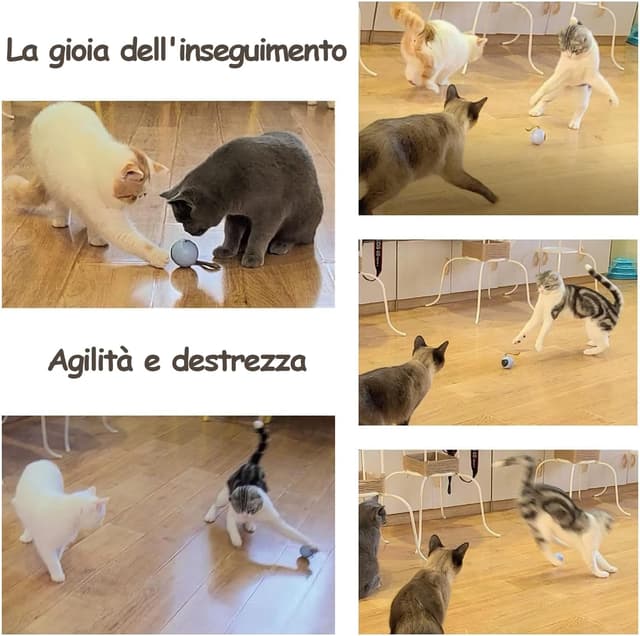 Thumbnail 4 de Migipaws Set giocattoli per gatti