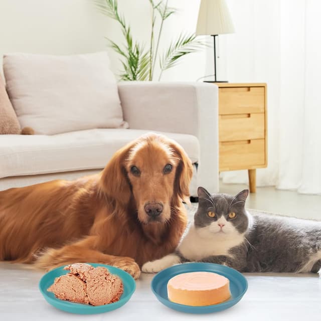 Thumbnail 6 de Alaoo Comederos para Gatos 10 piezas 🐱