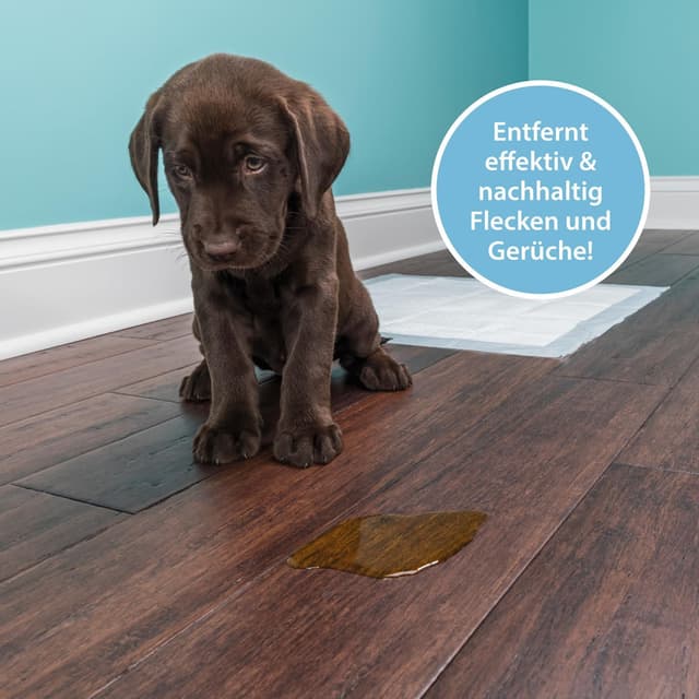 Thumbnail 2 de Enzymreiniger Hundeurin 750 ml