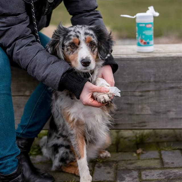 Detalle 2 de Nobby Universal Reinigungstuch Spenderdose (50 Stück) – für Fell, Pfoten und Haut