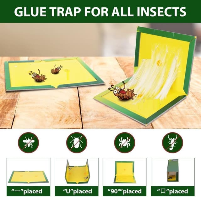 Detalle 2 de Flintronic Klebefallen 6er Set für Schädlinge