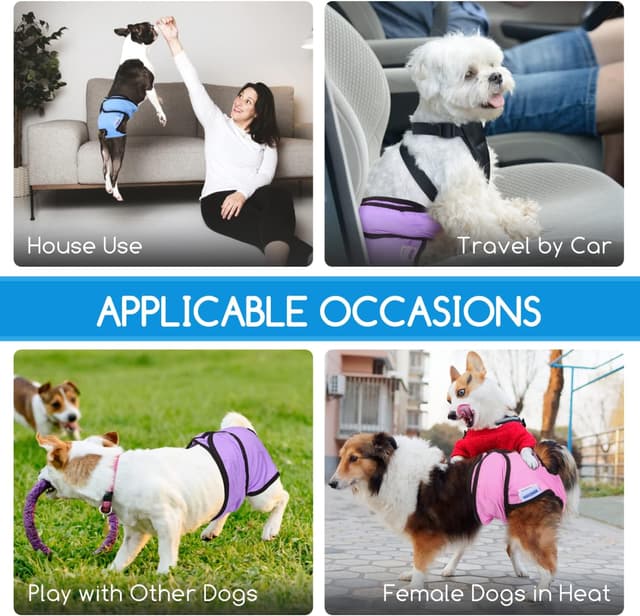 Thumbnail 5 de Nobleza 3X Couches chien M 32-37,5 cm