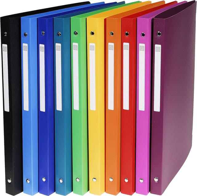 Imagen de Exacompta 51299E Raccoglitori Opak 20 en OfertitasTOP