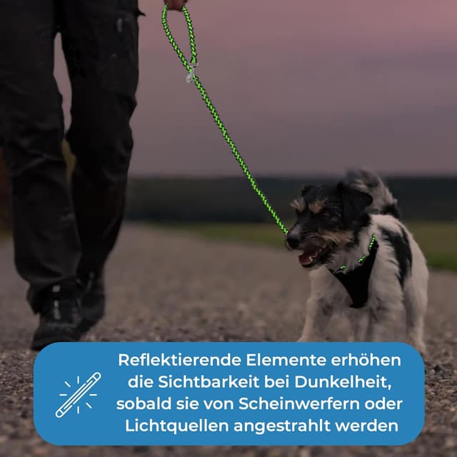 Detalle de Hundeleine reflektierend 2 m von Testnote: verstellbar, wetterfest & reißfest bis 250 kg