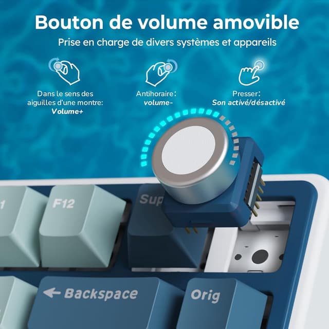 Thumbnail 3 de RK ROYAL KLUDGE R75 Clavier gamer TKL 75% 🔲