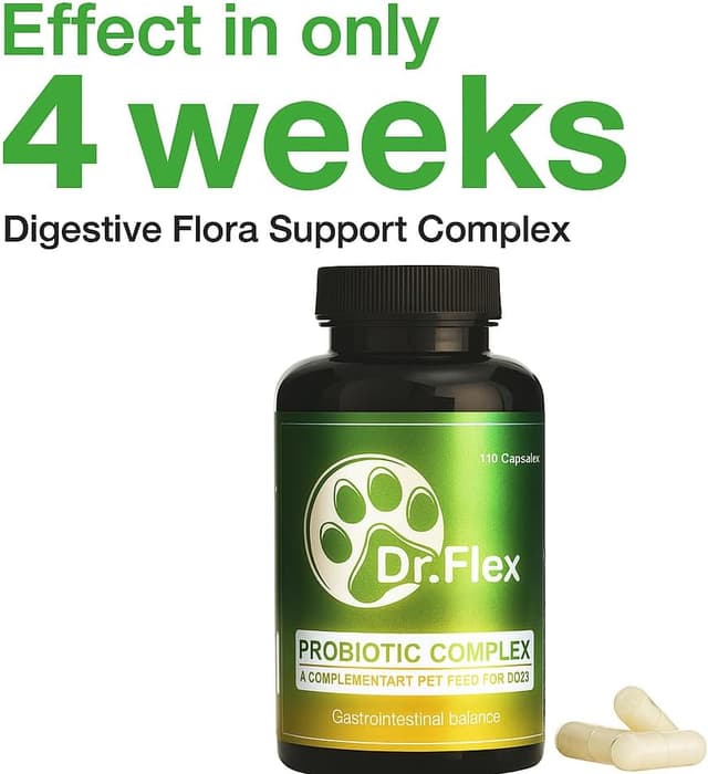 Detalle 2 de Complexe probiotique Dr. Flex pour chiens