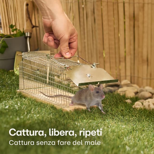 Detalle 2 de Praknu Trappola viva per topi 30 cm