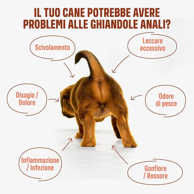 Detalle de ivvi Anal Gland Care snack per ghiandole anali e intestino dei cani, 60 snack (270g)