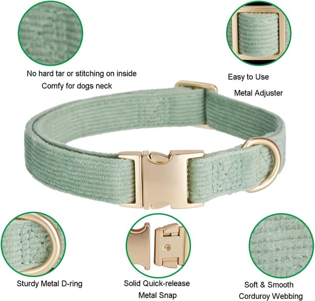 Detalle 2 de YUDOTE Dog Collar and Lead Set Small, Sage Green