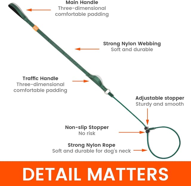 Detalle 1 de HOWGO padded slip lead dog leash (training no-pull), green, 5ft