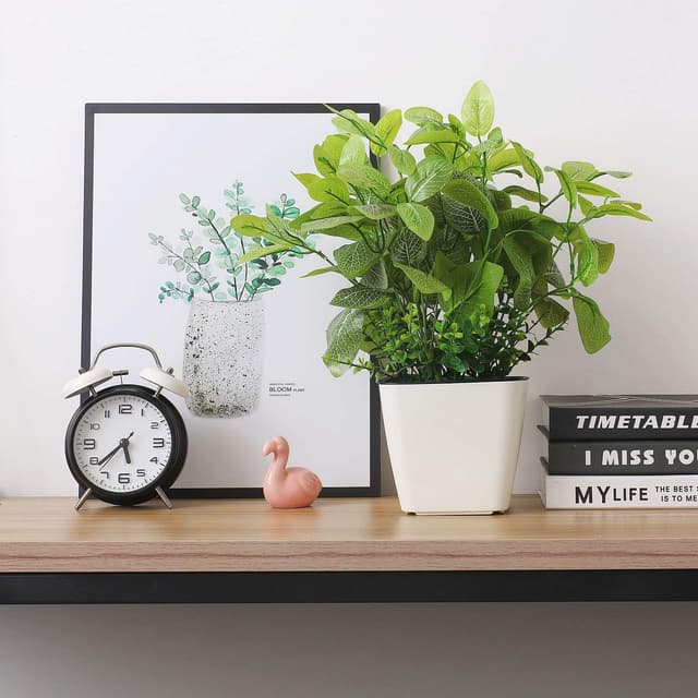 Thumbnail 2 de T4u T4u 13CM Auto Riego Plantador 13,3 cm