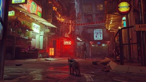 Thumbnail 6 de Stray NINTENDO SWITCH cifra Skybound Games