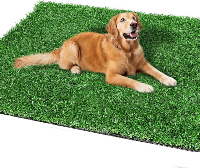 Thumbnail 5 de STARROAD-TIM 80x100cm Dog Grass Rug