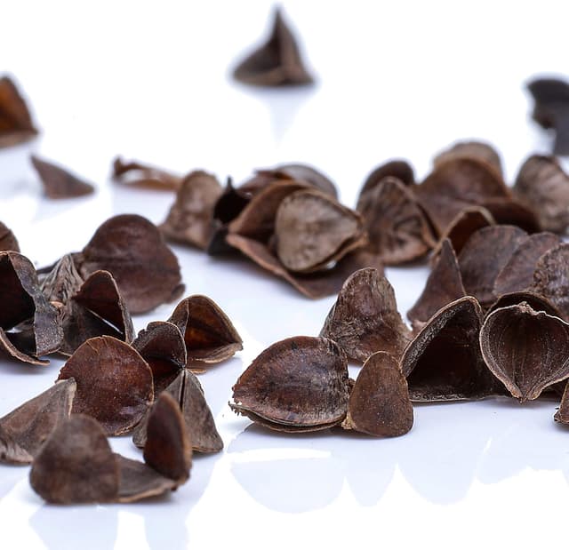 Thumbnail 6 de BODYMATE Cojín de meditación 42 cm