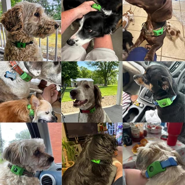 Thumbnail 6 de Natürliches Floh- und Zeckenhalsband für Hunde (2er-Set) mit Repellent-Hänger – 100% natürliche Inhaltsstoffe