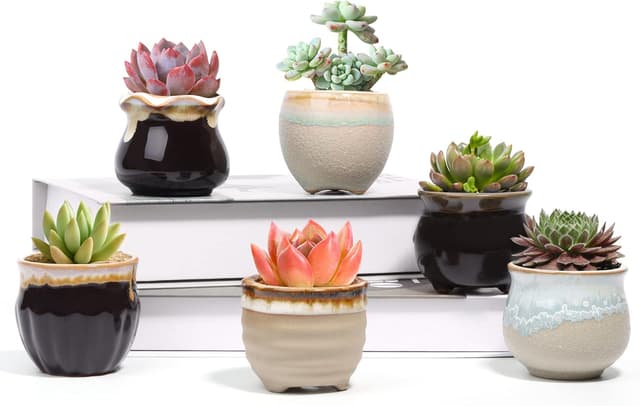 Imagen de T4U Small Ceramic Succulent Pots set of 6 en OfertitasTOP
