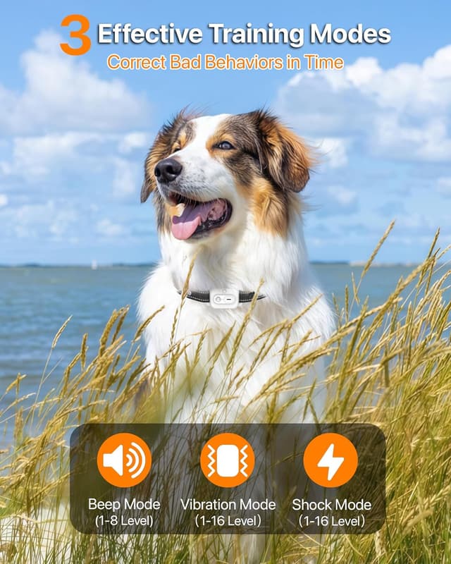 Thumbnail 1 de Collier de Dressage pour Chien 3 km