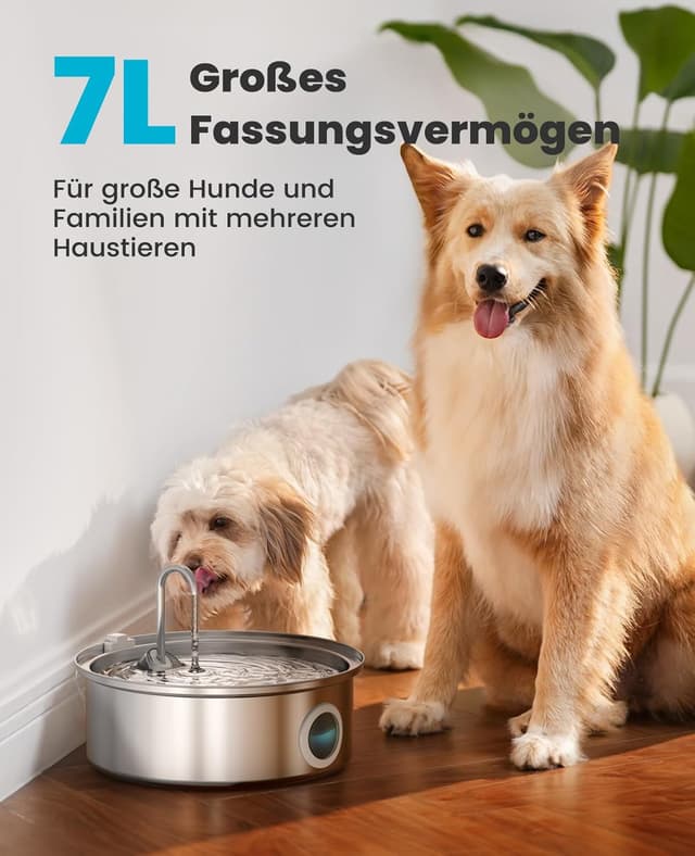 Detalle 2 de oneisall 7L Trinkbrunnen für Hunde mit LED