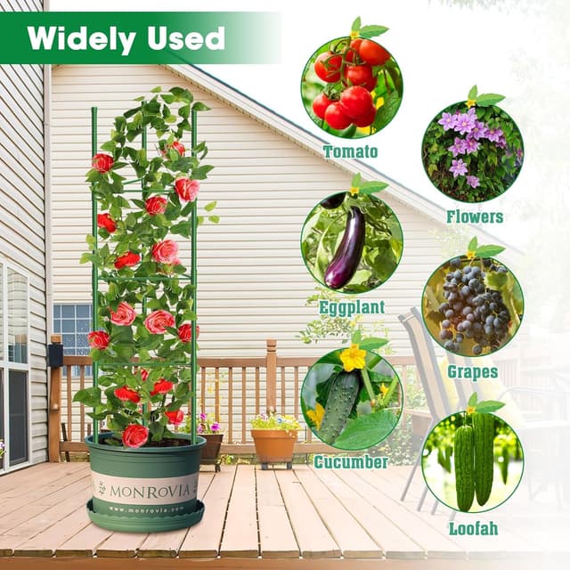 Thumbnail 5 de MQUPIN 130cm Garden Plant Trellis