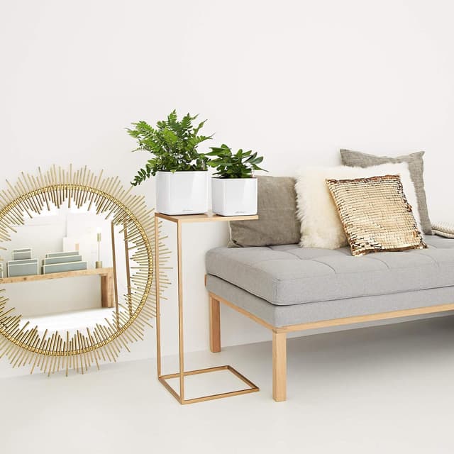 Thumbnail 2 de LECHUZA Cube Glossy 14 anthrazit highgloss 13511