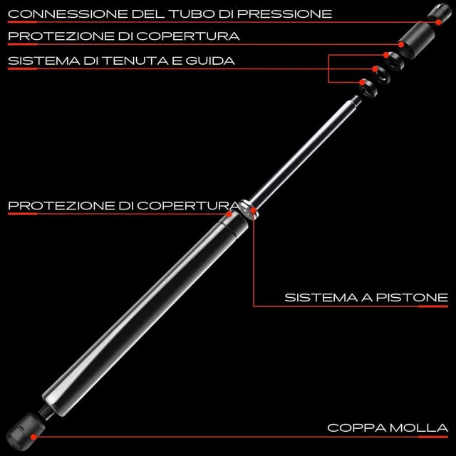 Detalle 2 de Frankberg 2x molle a gas per portellone posteriore (compatibili con Peugeot 206 e 206+)