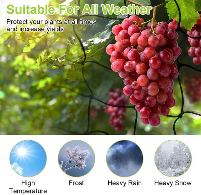 Thumbnail 3 de OFFCUP Rete Elastica 120x120 cm 🌱