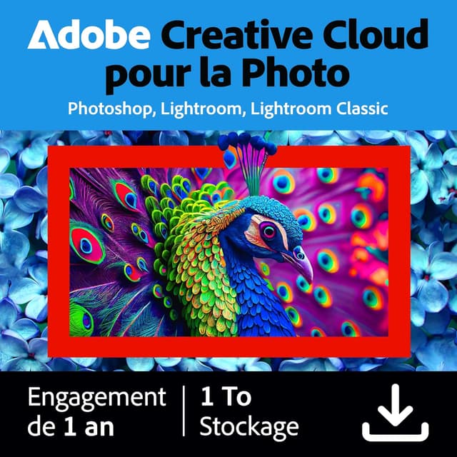 Detalle de Adobe Creative Cloud Photography 1 To