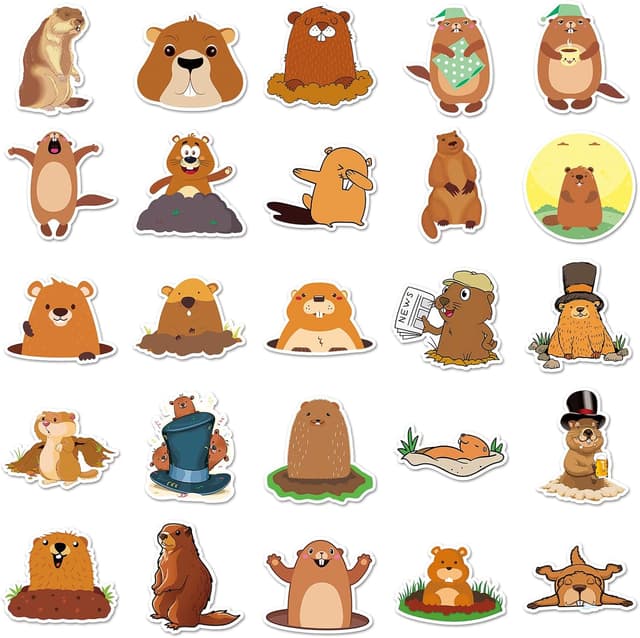 Detalle de Affoto Murmeltier Aufkleber für Laptop – 50er-Set wasserdichte Vinyl-Sticker für Kinder & Fans