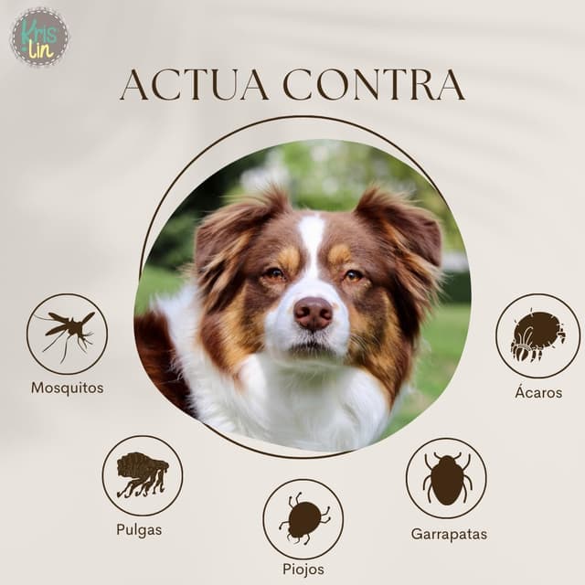 Thumbnail 3 de KRISLIN Pack 24 Pipetas Anti-Insectos para Perros Repelentes Naturales