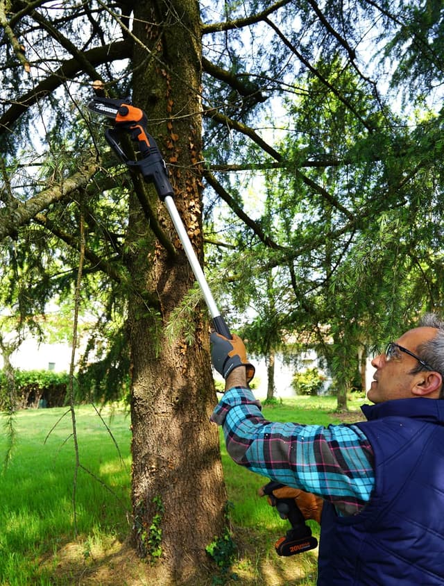 Detalle de Asta di prolunga WORX WA4301 da 125 cm per sega da potatore (compatibile con WG324E e WG325E)