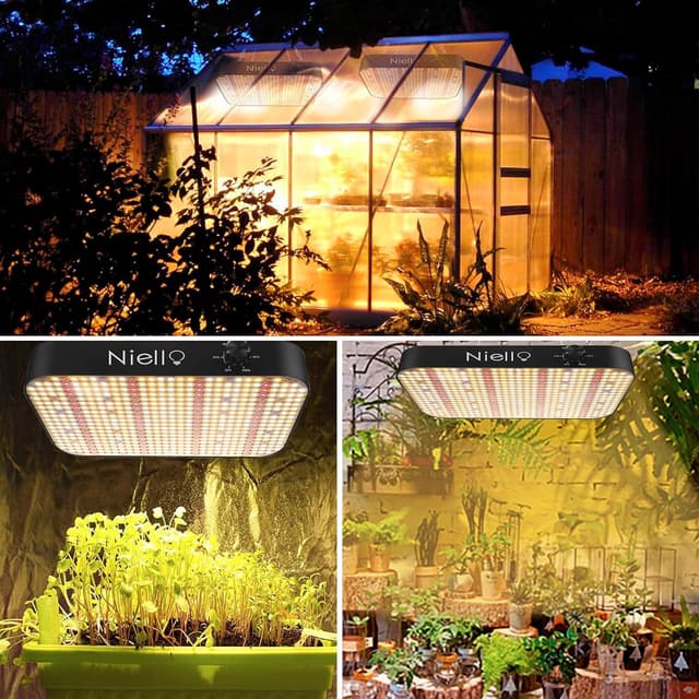 Thumbnail 5 de Niello Lumière de croissance 600W LED 🌱