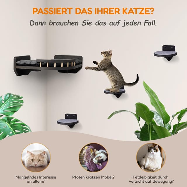 Detalle de Katzen Kletterwand mit Eckbett, Birkenholz